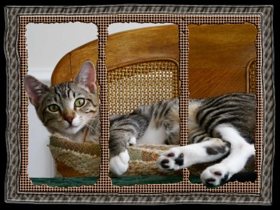 Quilt triptyc Beau example template copy.jpg