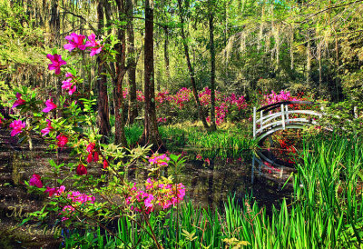 MAGNOLIA PLANTATION_0600.jpg