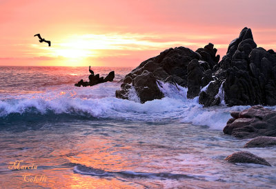 Cabo San Lucas  Sunrise Seascapes