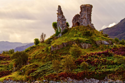 CASTLE MOIl _4329-2.jpg