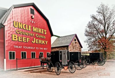 WALNUT CREEK AMISH STORE_6489.jpg