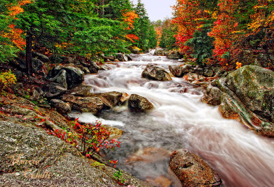 AUTUMN AND THE RAPIDS-2342.jpg