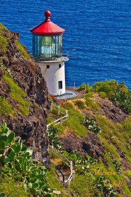 MAKAPUU LIGHTHOUSE_8263.jpg