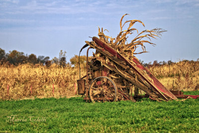 CORN STALK BALER_0749.jpg