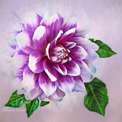 DAHLIA-1805.jpg