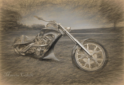 CUSTOM RADICAL CHOPPER_2265.jpg