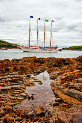 BAR HARBOR-1576a.jpg