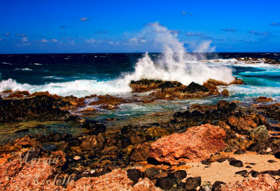 EAST COASTLINE ,ARUBA-0689.jpg