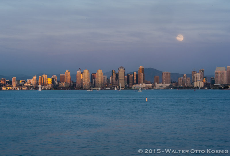 Moonrise over the City