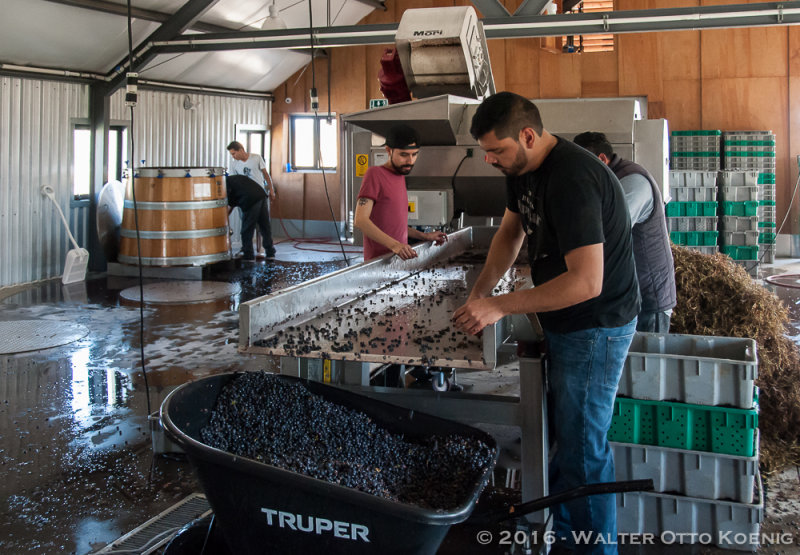 Finca La Carrodilla Winery
