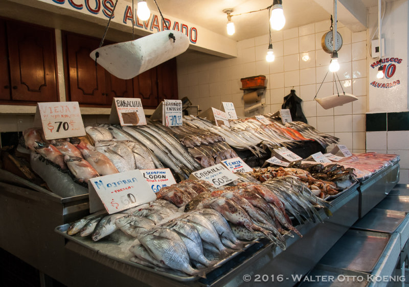 Fish Market, Ensenada