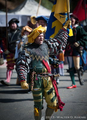 The German Standard Bearer