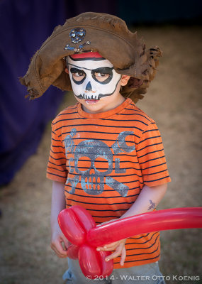 Little Pirate