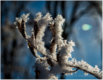 Hoar frost.