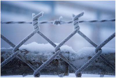 Frost fence.