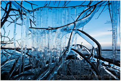 Ice branches.