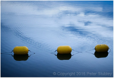 Evening buoys.