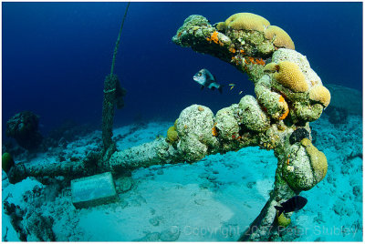 Calabas reef anchor.