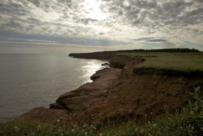 _MG_7096.jpg