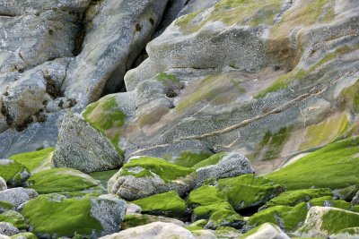 _MG_7180.jpg