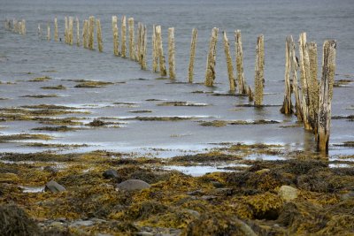 _MG_7303.jpg