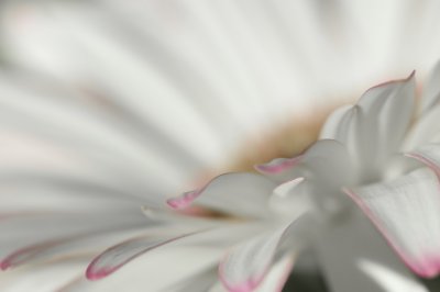 _MG_9616.jpg