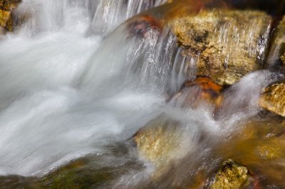 _MG_2986.jpg