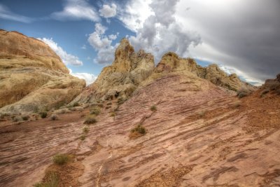 _MG_3601.jpg