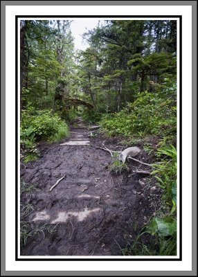 Muddy part of the Trail