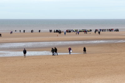 Sperm Whale_Old Hunstanton_05-02-16__LOW4798.JPG
