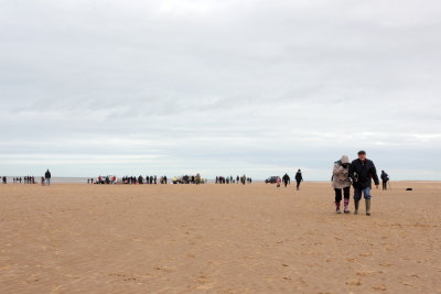 Sperm Whale_Old Hunstanton_05-02-16__LOW4804.JPG