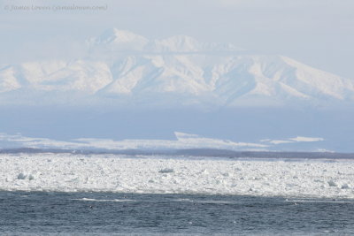 Frozen sea at Abashiri_7559