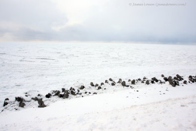 Frozen sea at Abashiri_7745