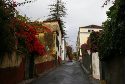 Droga z Monte do Funchal