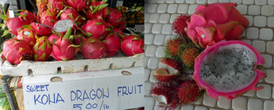 Dragon Fruit Kona