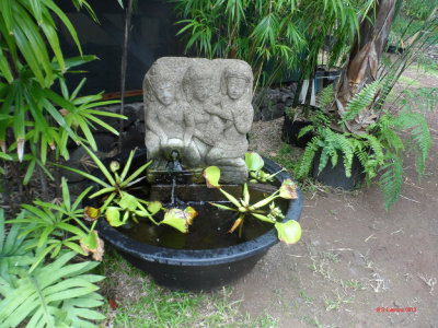 PALEAKU PEACE GARDEN KONA