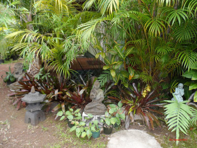 PALEAKU PEACE GARDEN KONA