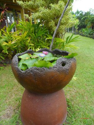 PALEAKU PEACE GARDEN KONA