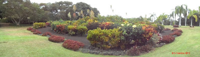 PALEAKU PEACE GARDEN KONA