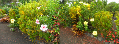 PALEAKU PEACE GARDEN KONA