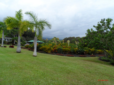 PALEAKU PEACE GARDEN KONA