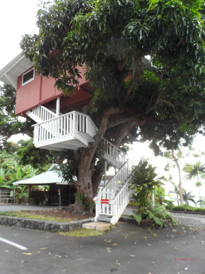 Kona Coffee