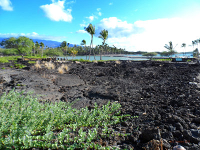 Waikoloa