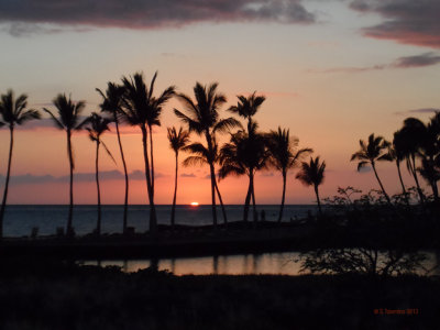 Waikoloa
