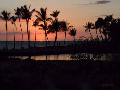 Waikoloa