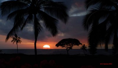 KONA 2013