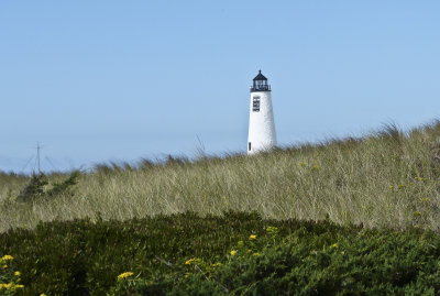 Great Point Lighthouse-yellow flws.jpg