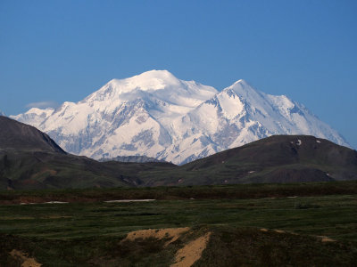 P6204911 - Denali.jpg