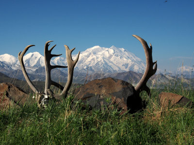 P6204944 - Denali Framed.jpg