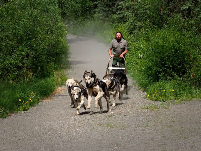 P6215317 - Movin'.jpg